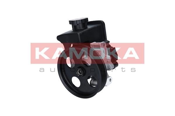KAMOKA PP133 Power steering pump 003 466 40 01