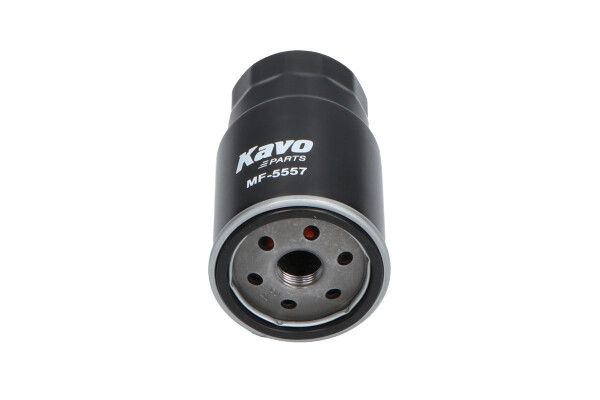 MF-5557 KAVO PARTS Filtro combustible - comprar online