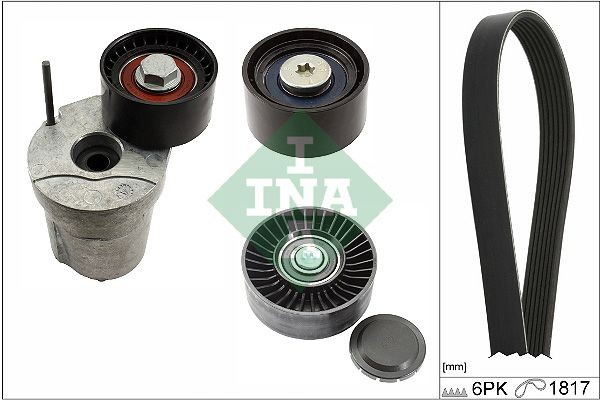 INA 529036810 Tensioner pulley 7556251