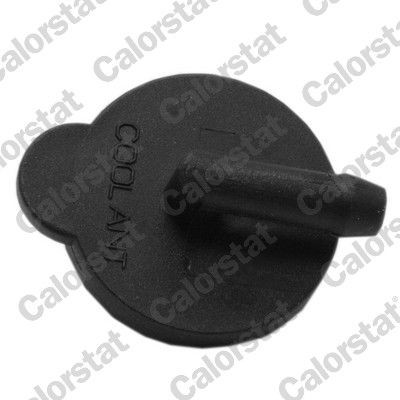 CALORSTAT by Vernet RC0205 Expansion tank cap HYUNDAI experience and price