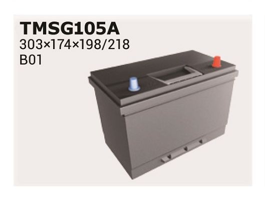 60518 IPSA TMSG105A Battery 8201A034