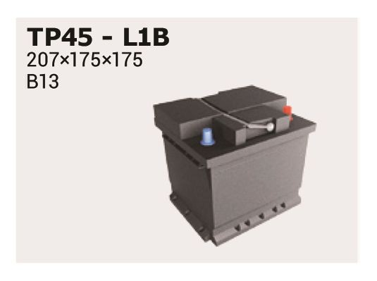 54559 IPSA TP45 Battery 46810022