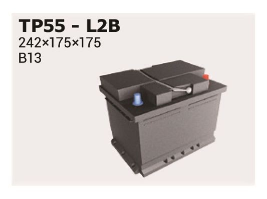 55559 IPSA TP55 Battery 61 21 8 377 135