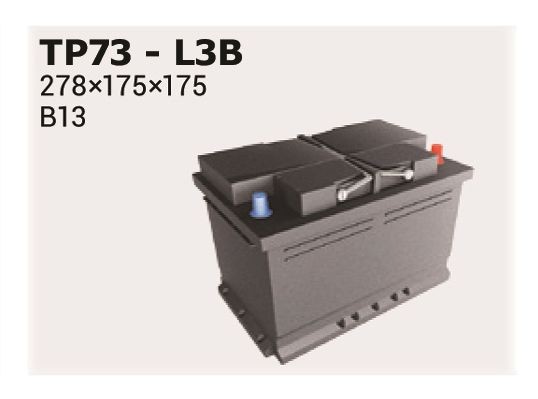 57309 IPSA TP73 Battery 46810025