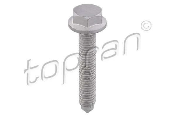 TOPRAN 117 614 Bullone / Vite M 8 8.8 Esagonale con bordino