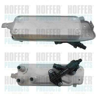 HOFFER Transmission oil cooler 8095220 buy