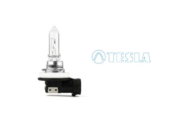 Citroen DS3 Fog light bulb 13916409 TESLA B30901 online buy
