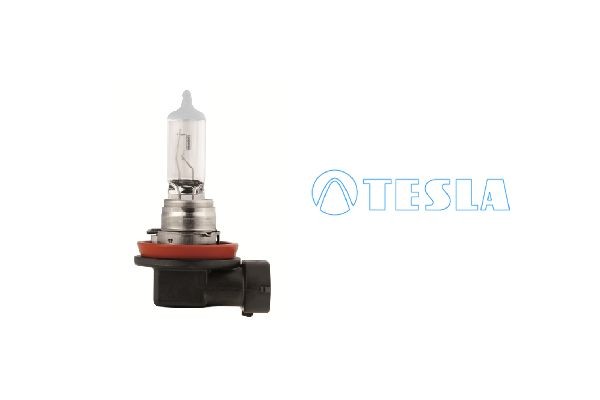 TESLA Nebelscheinwerfer Glühlampe SsangYoung B31101 in Original Qualität