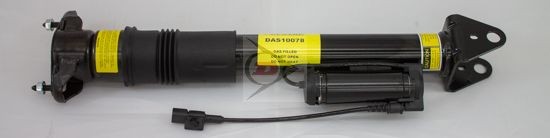 Dunlop ADS DAS10078 Shock absorber 2513201831