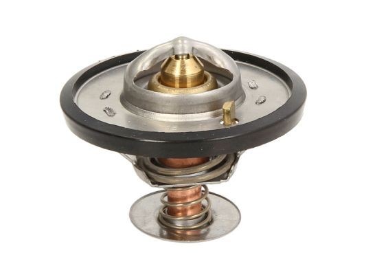 THERMOTEC D2B003TT Engine thermostat Opening Temperature: 95°C, with seal, Synthetic Material Housing