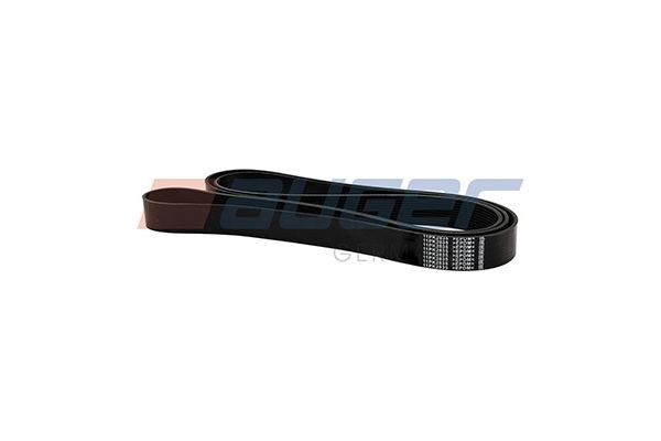 AUGER Alternator belt 80006 buy