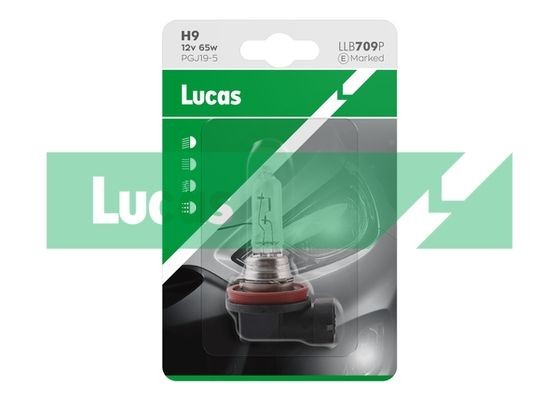 LUCAS Version: Single Clam Standard LLB709P Bulb, spotlight 9247670