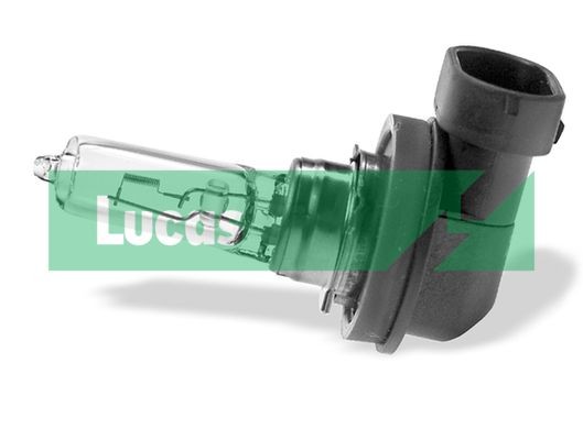 Low beam bulb LUCAS Version: Twin Clam HB3 12V 60W P20d, Upgrade Xenon + 50% - LLX9005XLPX2