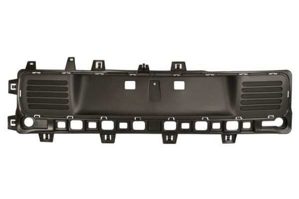 Renault Number plate holder BLIC 5508-00-6004970P at a good price