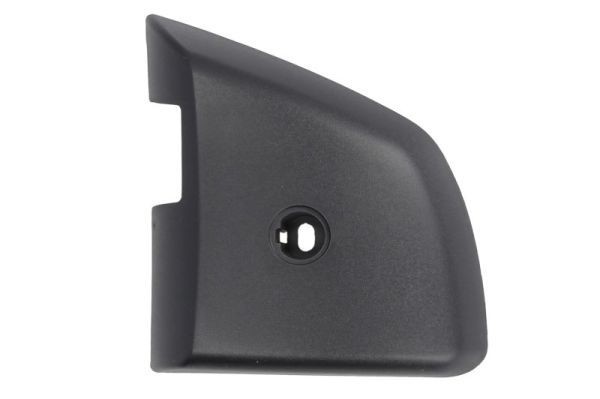 PACOL MAN-MR-050R Cover, outside mirror 81.62410-0108