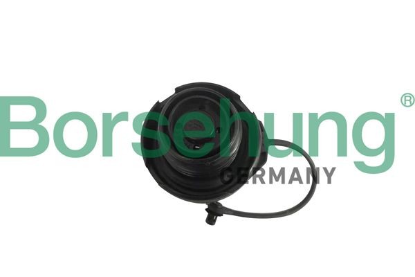 Borsehung B18790 Fuel cap VW experience and price