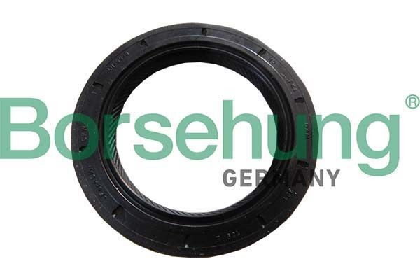 Borsehung Shaft Seal, manual transmission flange B18791 Volkswagen TOURAN 2020