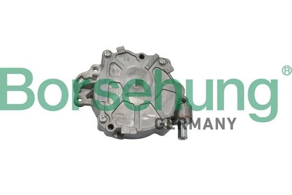 Borsehung Brake vacuum pump B18800 Volkswagen CADDY 2019