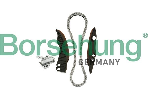 Timing chain kit Borsehung - B18853