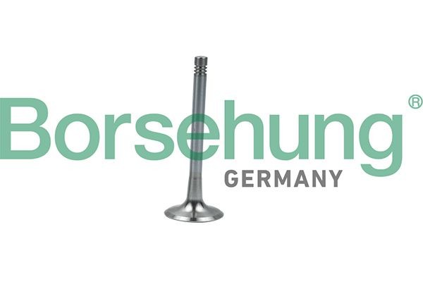 Borsehung Exhaust valve B19008 Audi A5 2014