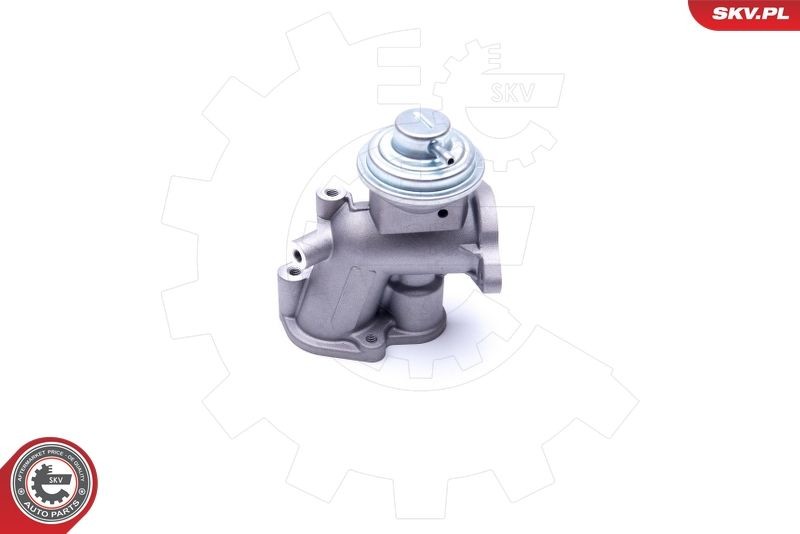 ESEN SKV Pneumatic Exhaust gas recirculation valve 14SKV180 buy
