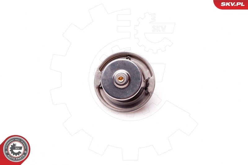 Renault 25 Engine thermostat ESEN SKV 20SKV048 cheap
