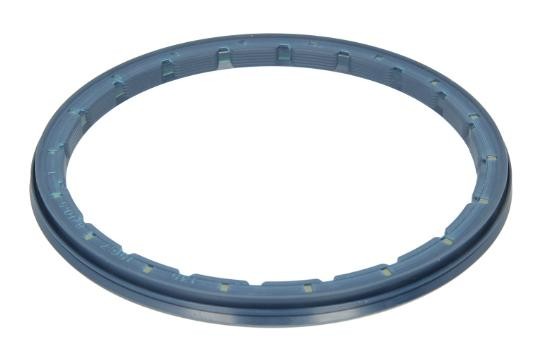 LEMA inner Shaft Seal, wheel hub 13515608BASL buy