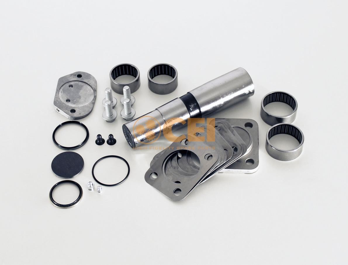CEI 230.067 Repair Kit, kingpin IVECO experience and price