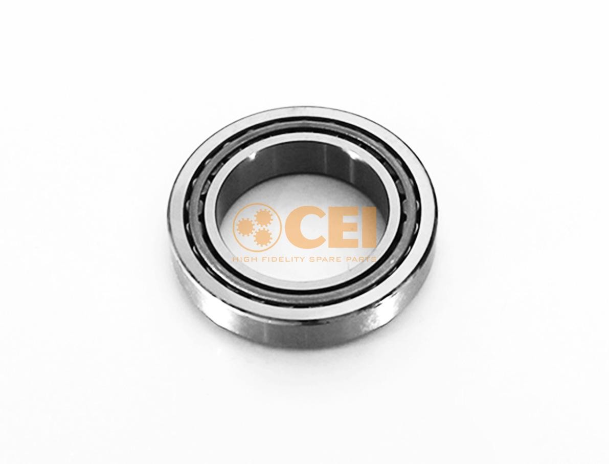 CEI 130.353 Bearing, differential shaft 20582549