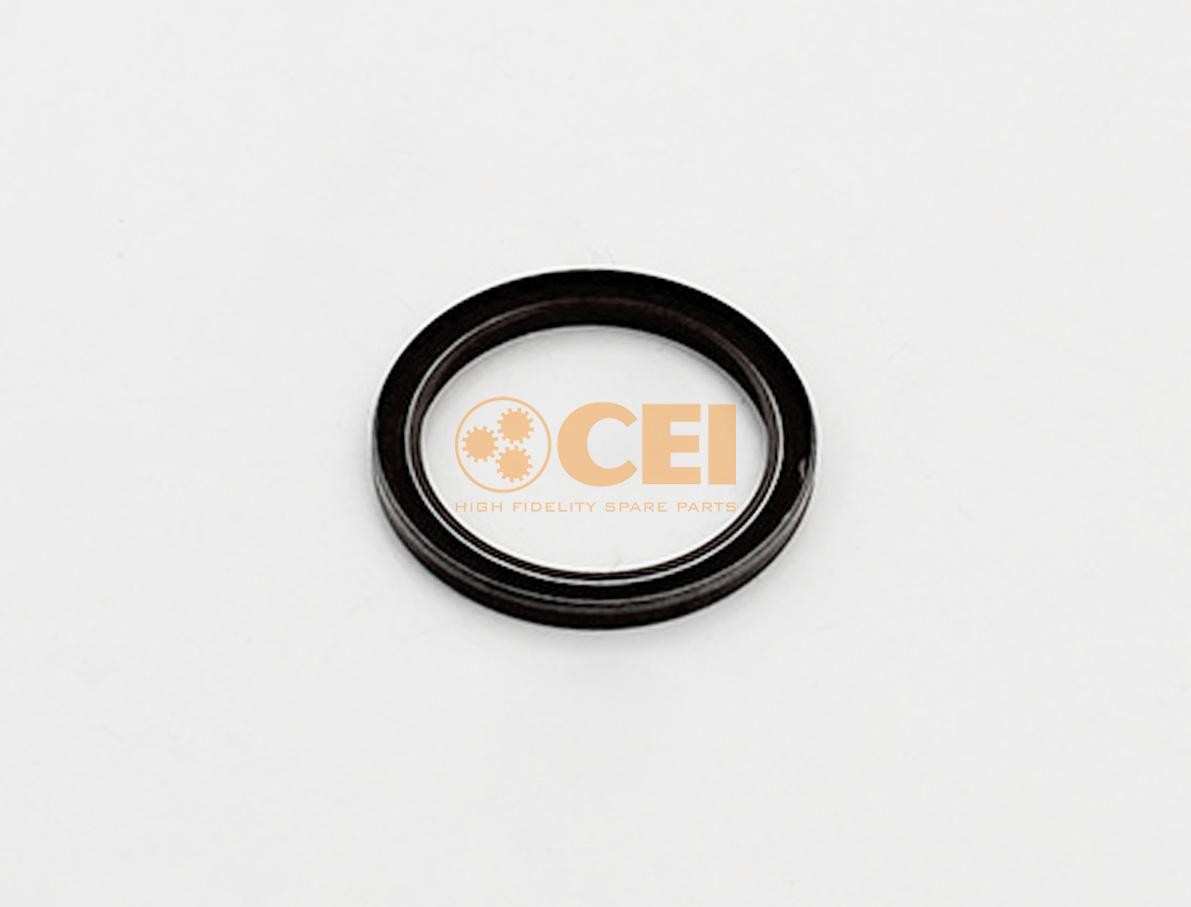 CEI 139.851 Shaft Seal, manual transmission