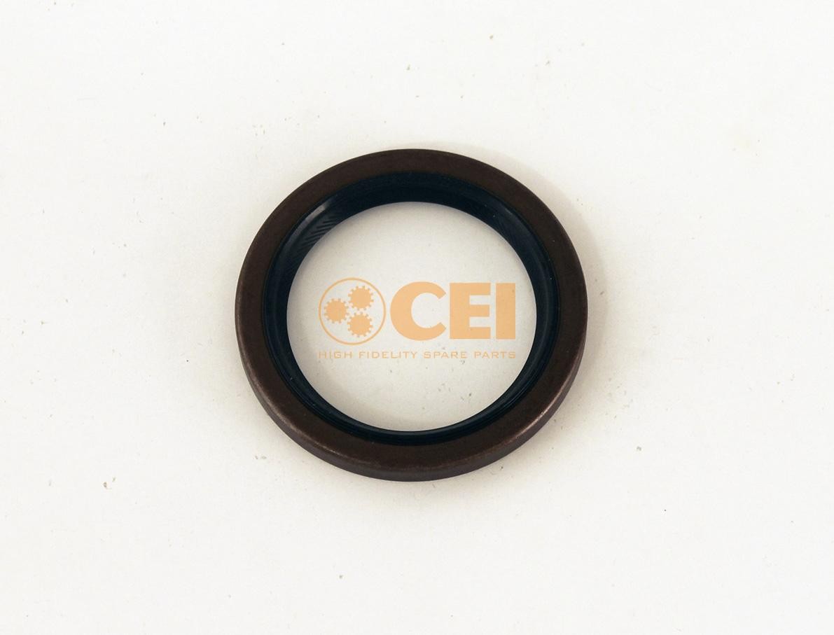 CEI 139.879 Shaft Seal, manual transmission 0734310387