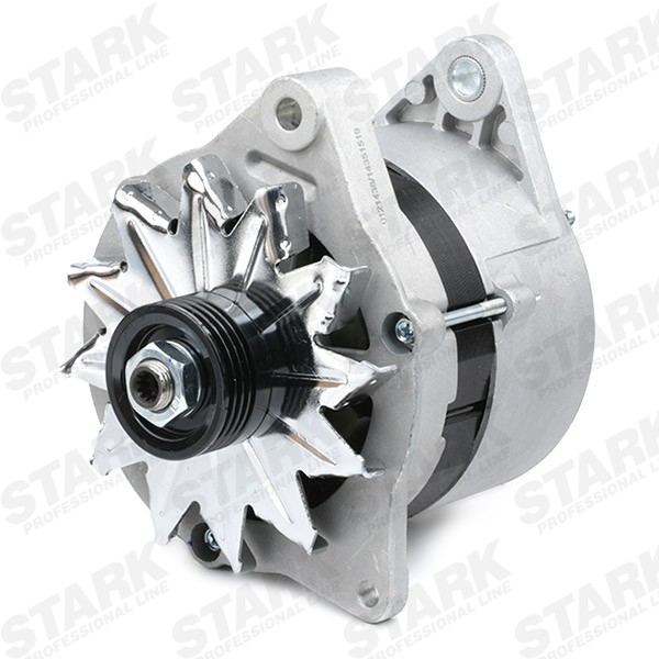 SKGN0320311 Generator STARK SKGN-0320311 review and test
