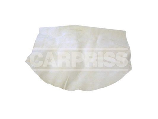 Cleaning wipes CARPRISS 71729949