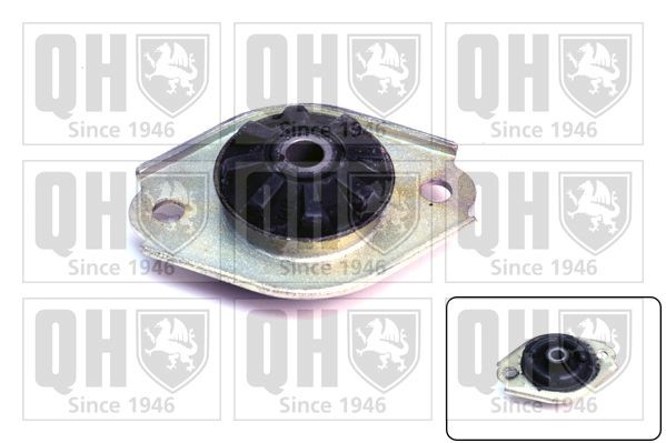 QUINTON HAZELL EMR2221 Strut mount and bearing FIAT UNO 1994 in original quality