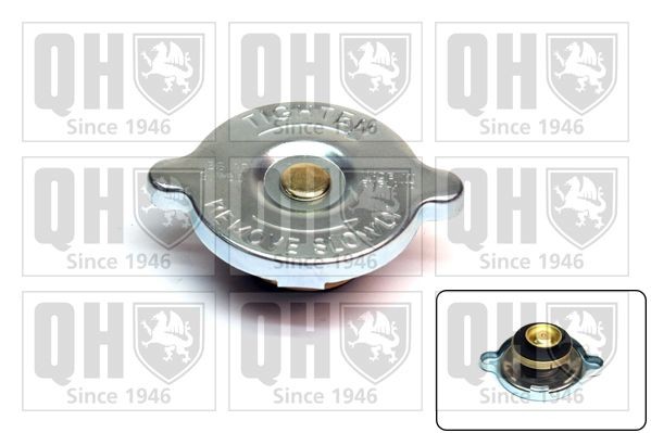 QUINTON HAZELL FC58 LAND ROVER Pressure cap in original quality