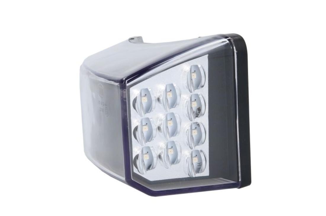 GIANT Left, without bulb holder, LED, for left-hand drive vehicles Lamp Type: LED Indicator 131-VT13251AL buy