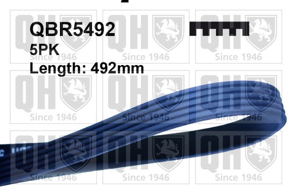 5PK490 QUINTON HAZELL 492mm, 5 Number of ribs: 5, Length: 492mm Alternator belt QBR5492 buy