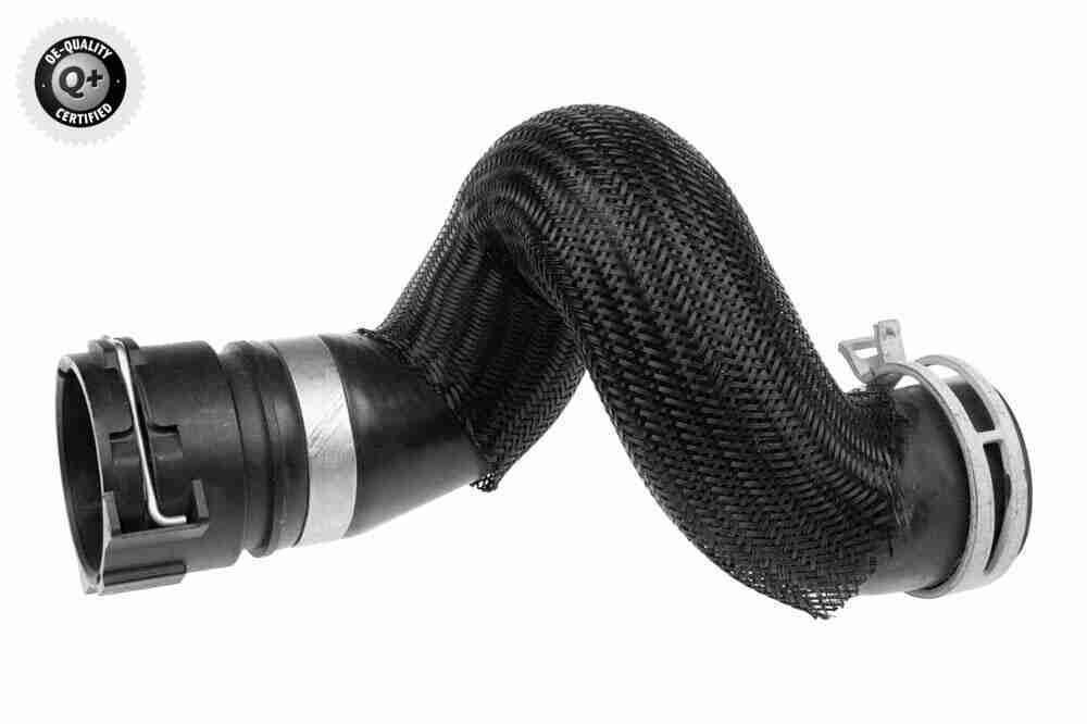 V20-3504 VAICO Coolant hose MINI