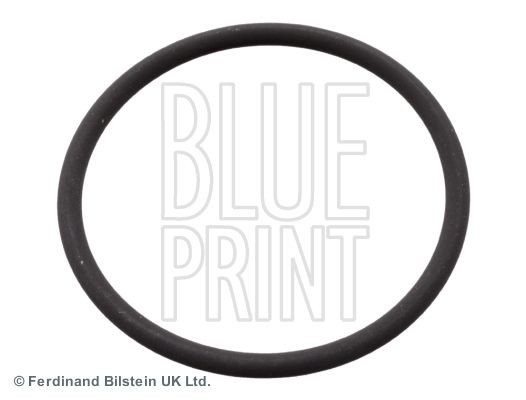 Opel ASTRA Seal, injection pump BLUE PRINT ADN16144 cheap