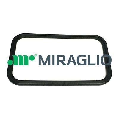 MIRAGLIO 80/684 Türgriff für VOLVO FL 10 LKW in Original Qualität