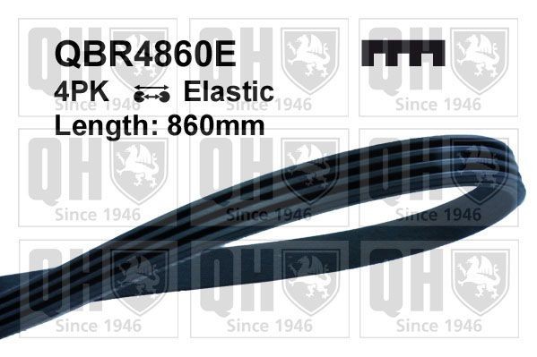 4PK860 ELASTIC QUINTON HAZELL 860mm, 4, Elastic Number of ribs: 4, Length: 860mm Alternator belt QBR4860E buy