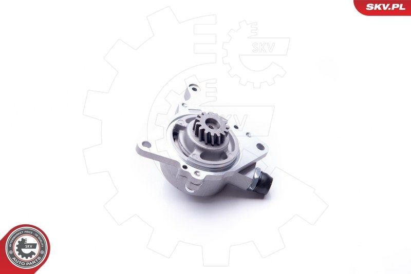 18SKV014 ESEN SKV Unterdruckpumpe, Bremsanlage für VW online bestellen
