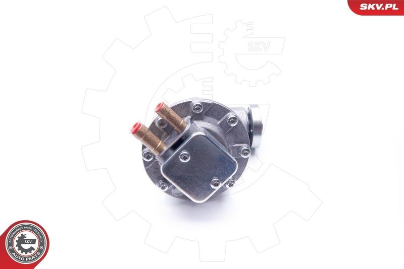 Fiat DUCATO Brake vacuum pump ESEN SKV 18SKV019 cheap