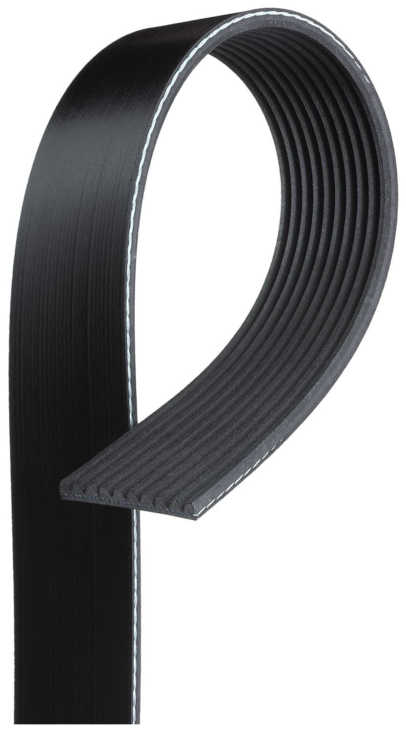 GATES 10PK1005HD Serpentine belt 1005mm, 10
