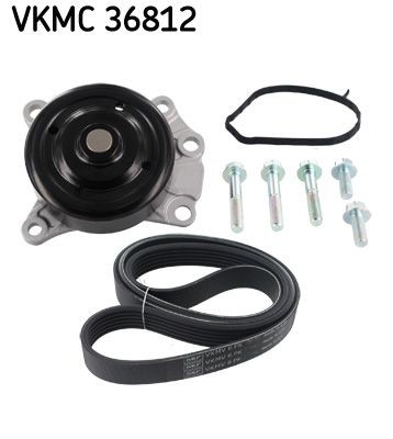 VKPC 91810 SKF VKMC36812 Serpentine belt 5750QJ