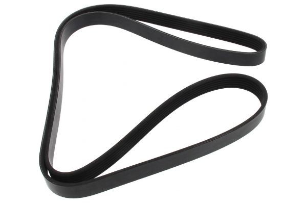 MAPCO 261710 Serpentine belt AUDI experience and price