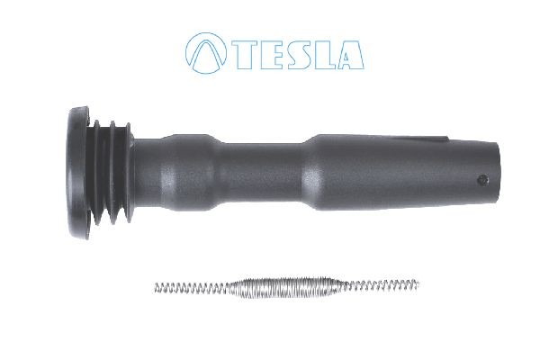 TESLA CP074 DODGE Plug, spark plug in original quality