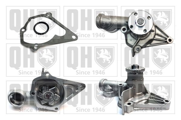 QUINTON HAZELL with gaskets/seals Water pumps QCP2433 buy