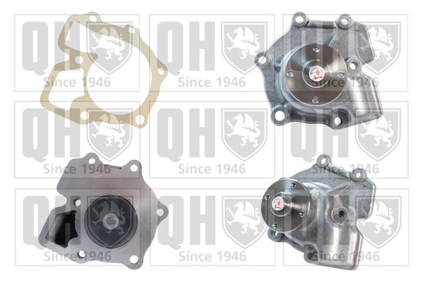 QUINTON HAZELL Water pumps FORD TRANSIT TOURNEO new QCP2565