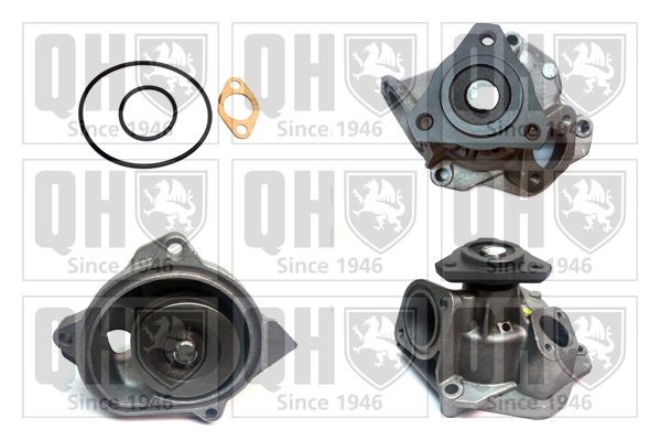 QUINTON HAZELL with gaskets/seals Water pumps QCP2665 buy
